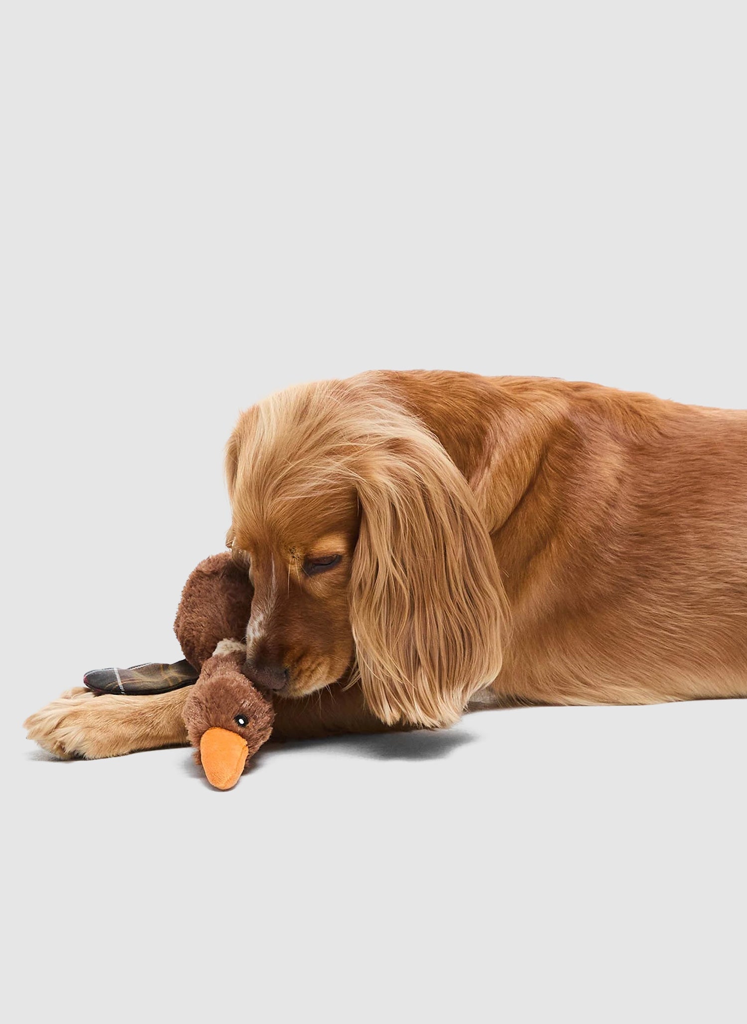 Dog Toy Flying Duck - Brown