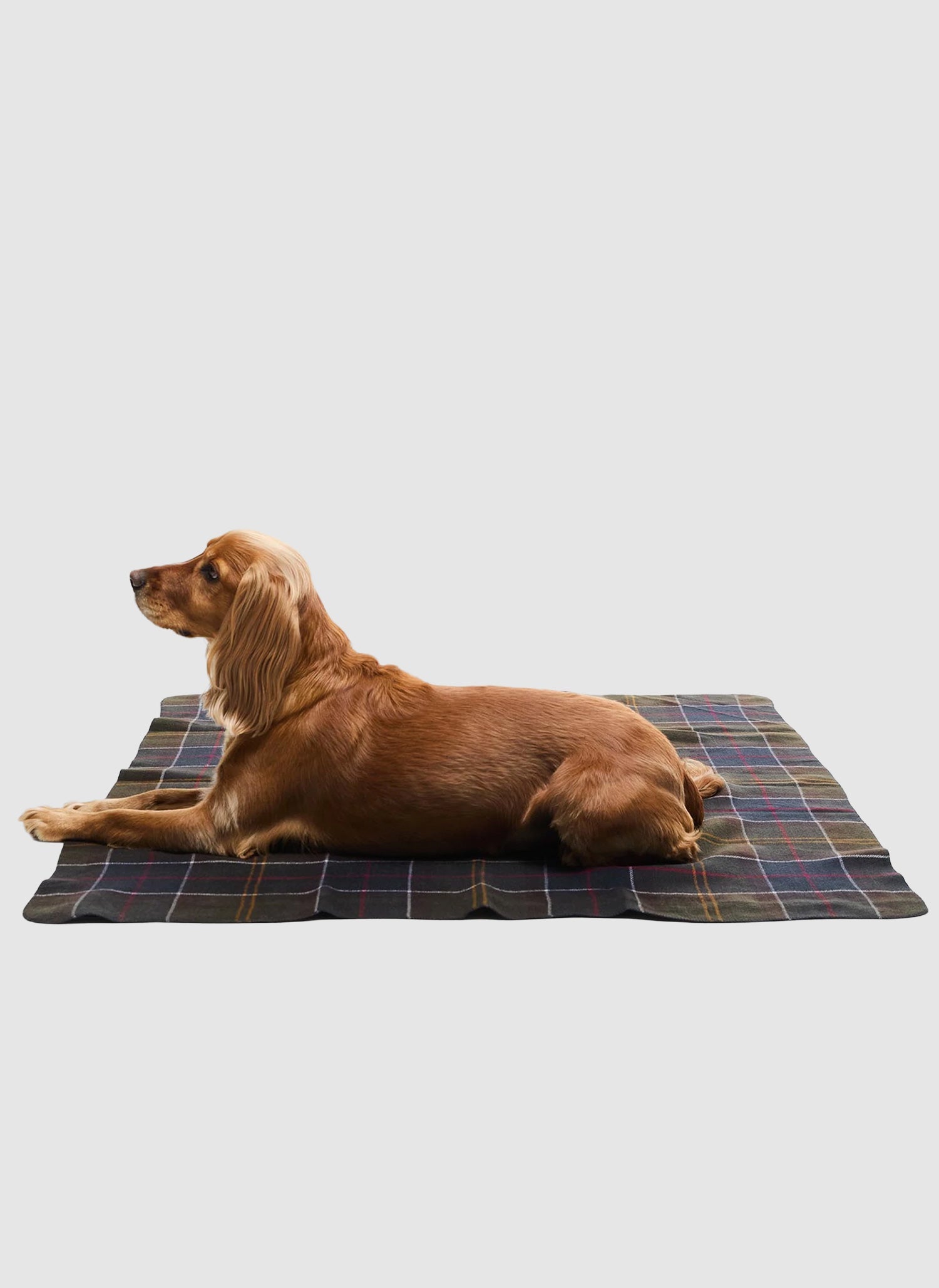 Tartan Dog Blanket - Classic Tartan